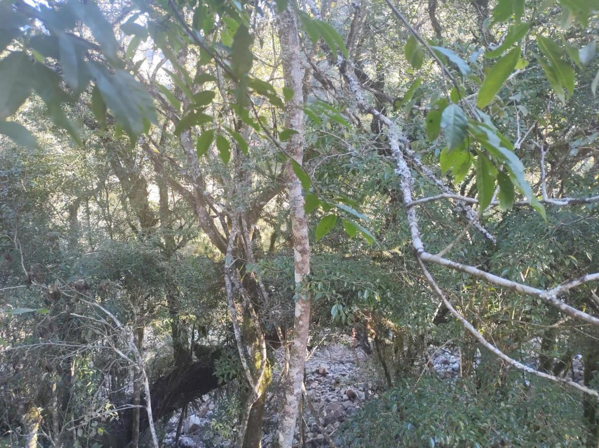 Casas De Temporada Serra Dos Bitus Urubici Exterior foto